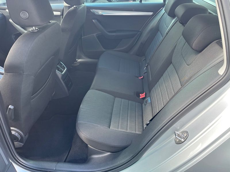 Škoda Octavia (2015) 1.6 TDi 4x4 NAVI - fotka 8 z 18