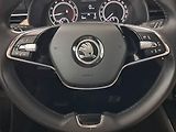 Škoda Scala (2021) 1.0 TSI, ČR,1.maj, Tempomat - náhled 13
