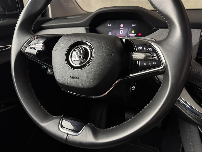 Škoda Enyaq 80 LED Matrix Assist Kamera - fotka 46 z 47