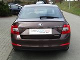 Škoda Octavia (2014) 1.6 TDI 77kW  ZIMNÍ KOLA - náhled 12