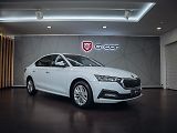 Škoda Octavia 2.0 TDI 110kW DSG Ambition - náhled 1