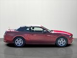 Ford Mustang 3,7 V6 227 Kw cabrio - náhled 10