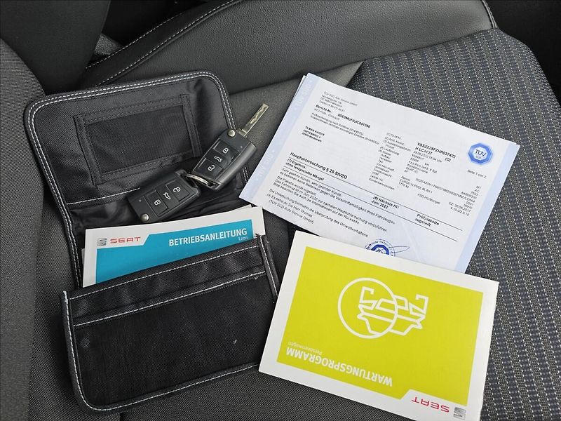 Seat Leon 1,4TSI 110KW XCELLENCE KŮŽE - fotka 36 z 47