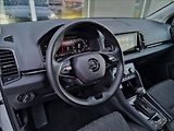 Škoda Karoq 2.0 TDI Style DSG,ČR,1.Maj - náhled 20