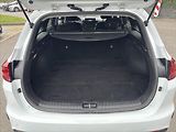 Kia Ceed 1,5 TGDi TOP ZÁRUKA CARPLAY - náhled 13