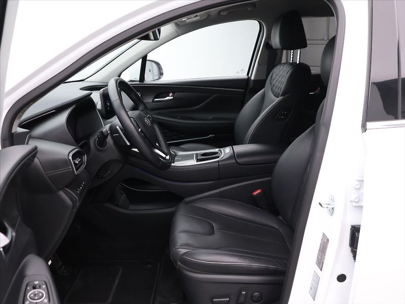 Hyundai Santa Fe 2.2 CRDi 142kW Style CZ DPH - fotka 11 z 29