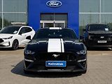 Ford Mustang 5,0 GT V8 330kW 55YearsEdition - náhled 8