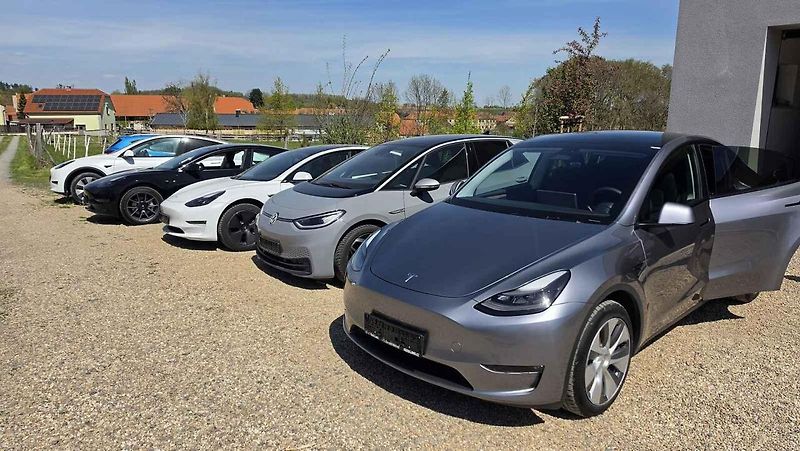Dovoz elektromobilů se zvýšil.