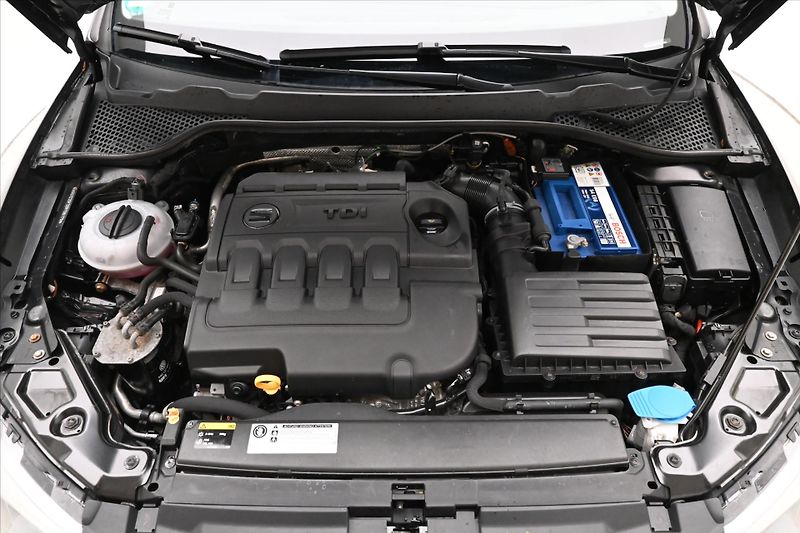 Seat Leon 2,0 TDI 110 kW 4x4 X-Perience - fotka 9 z 30