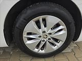 Škoda Octavia 1,0 1,0TSi 81KW Ambition DPH - náhled 37
