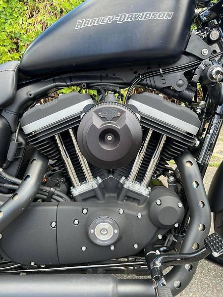 Harley-Davidson XL 883N Sportster Iron (2011) - fotka 11 z 13