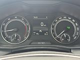 Škoda Kamiq (2021) 1.0TSi DSG Style, Kamera, ACC  - náhled 26