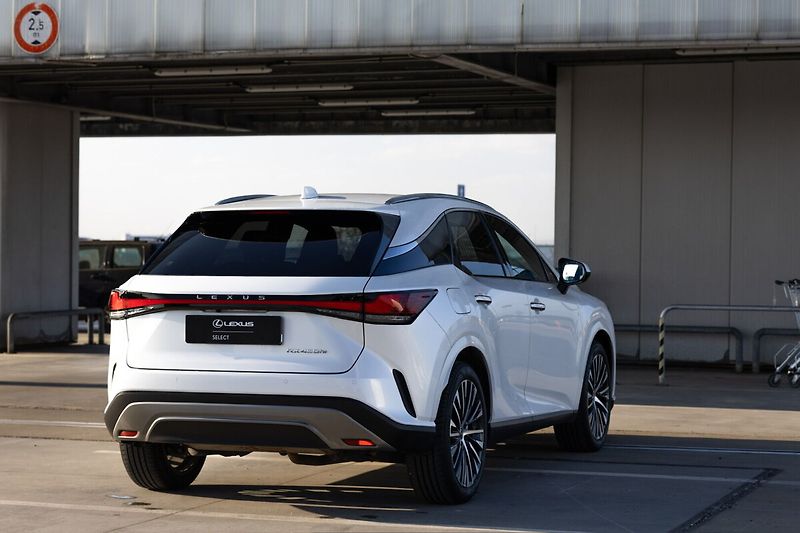 Lexus RX 450h plus 450H+ 2,5 PHEV EXECUTIVE PLUS - fotka 7 z 29