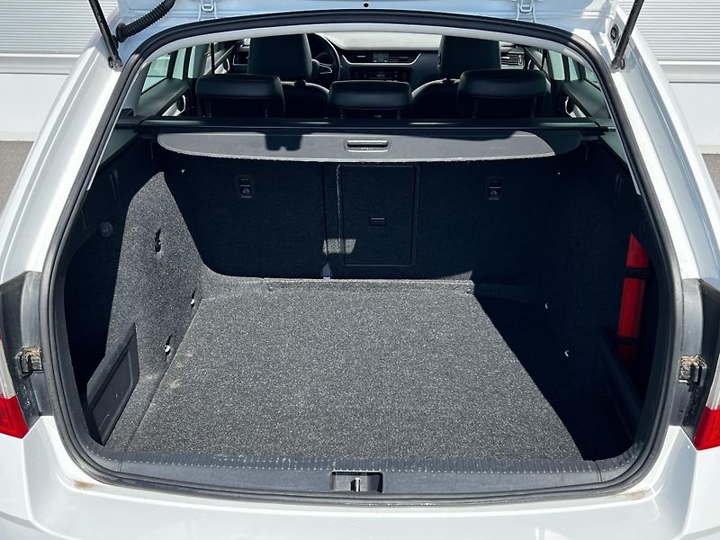 Škoda Octavia 1.4TSI 110kW DSG Kůže DPH - fotka 21 z 23