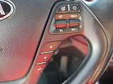 Kia Ceed (2017) 1.6 CRDi, ČR, AC, výhřev sed - náhled 14