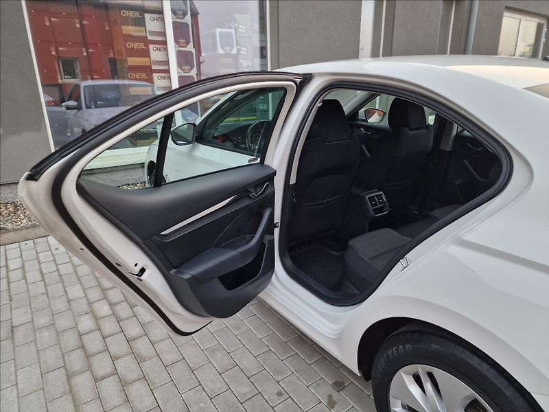 Škoda Octavia 2.0TDI Ambition,ČR,1.Majitel - fotka 18 z 50