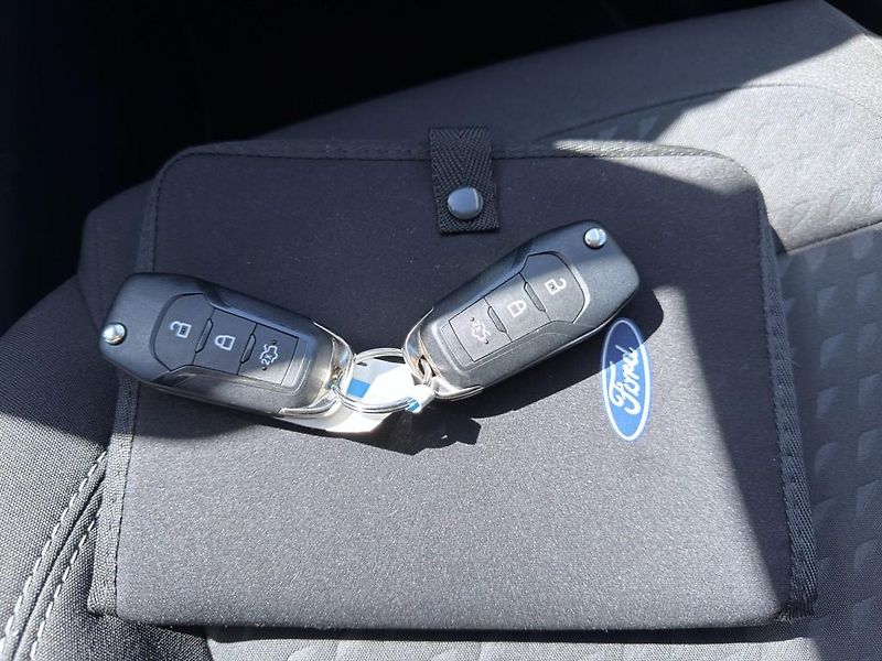 Ford Fiesta 1.0 EB 92 kW automat, serviska - fotka 22 z 22