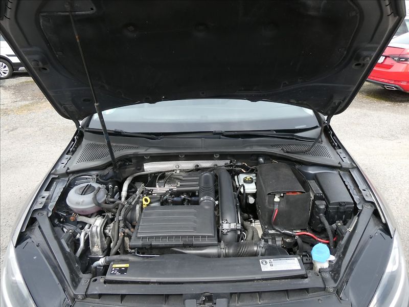 Volkswagen Golf 1,4 TSi 103kW DSG, webasto - fotka 37 z 42