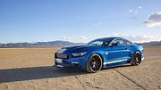 Shelby Super Snake 50th Anniversary.