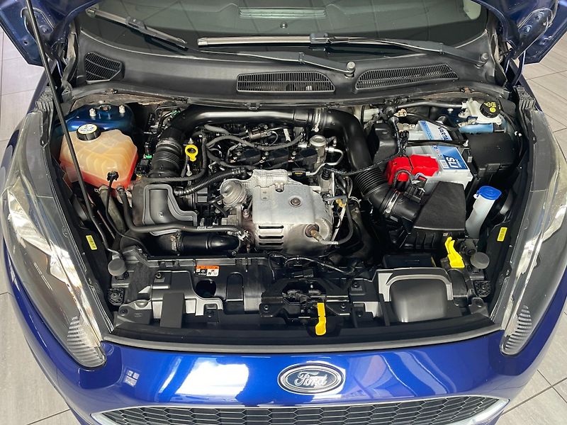 Ford Fiesta (2017) Trend 1.0 EcoBoost 74kW - fotka 22 z 23