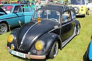 Volkswagen Brouk.