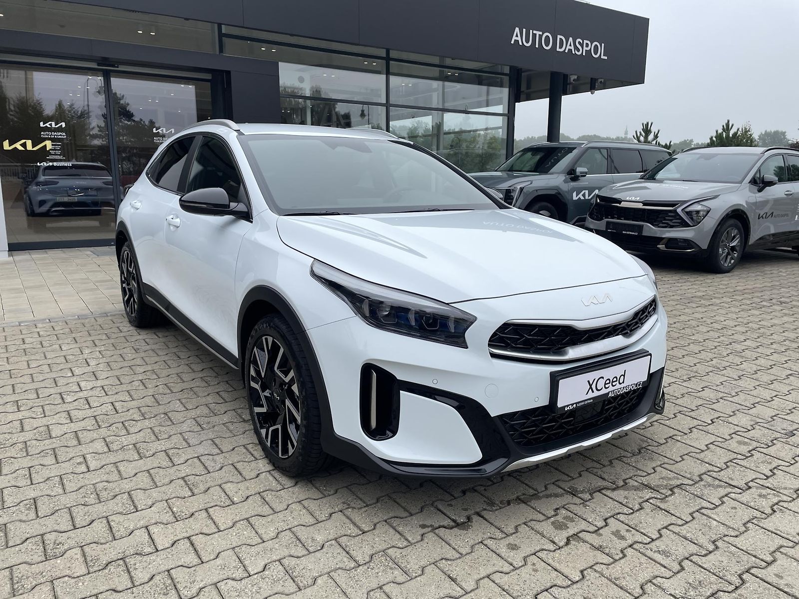 Kia XCeed 1,6 SteelEdition 7DCT/PNS"DEMO