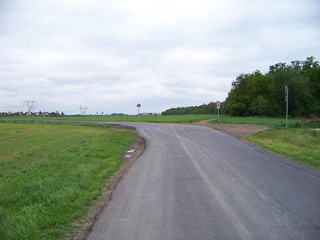 Při jízdě u lesa se vyplatí ubrat rychlost a sledovat také okolí silnice. Ilustrační foto., zdroj: ŠJů, Wikimedia Commons, CC BY-SA 4.0.