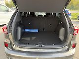 Ford Kuga (2026) ST-Line, 5dveřová, 2.5 Duratec - náhled 11