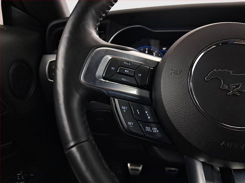 Ford Mustang (2023) GT V8 5.0 - fotka 16 z 18