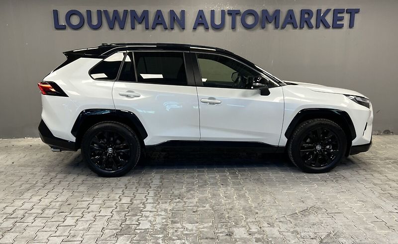 Toyota RAV4 2.5 Hybrid AT AWD SELECTION SK - fotka 19 z 19