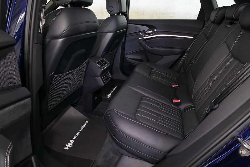 Audi e-tron 55 300kW Matrix Pano NV Tažné - fotka 14 z 47