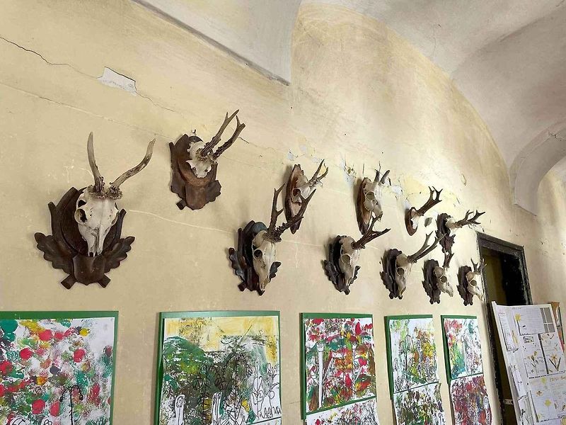 Zámek v Bravanticích na Novojičínsku zahájí v sobotu 7. června návštěvnickou sezonu s expozicí autíček, která je vystavována vůbec poprvé, 6. 6. 2025.