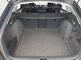 Škoda Octavia (2015) 1.6 TDI, Tempomat - náhled 14