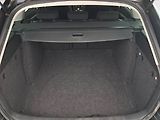 Škoda Octavia (2010) Ambiente 1.4 TSI, Tempomat - náhled 14