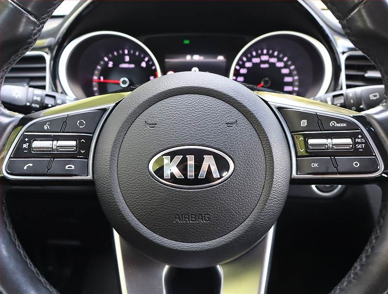 Kia Ceed (2019) Platinum 1.6 CRDi, Navi - fotka 17 z 18