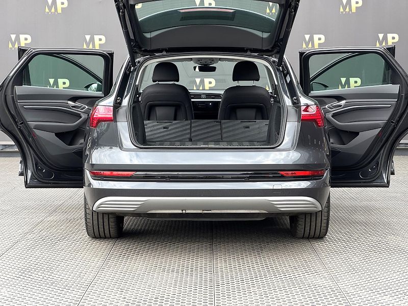 Audi e-tron (2020) Quattro 230kW Advanced, PANO - fotka 11 z 54