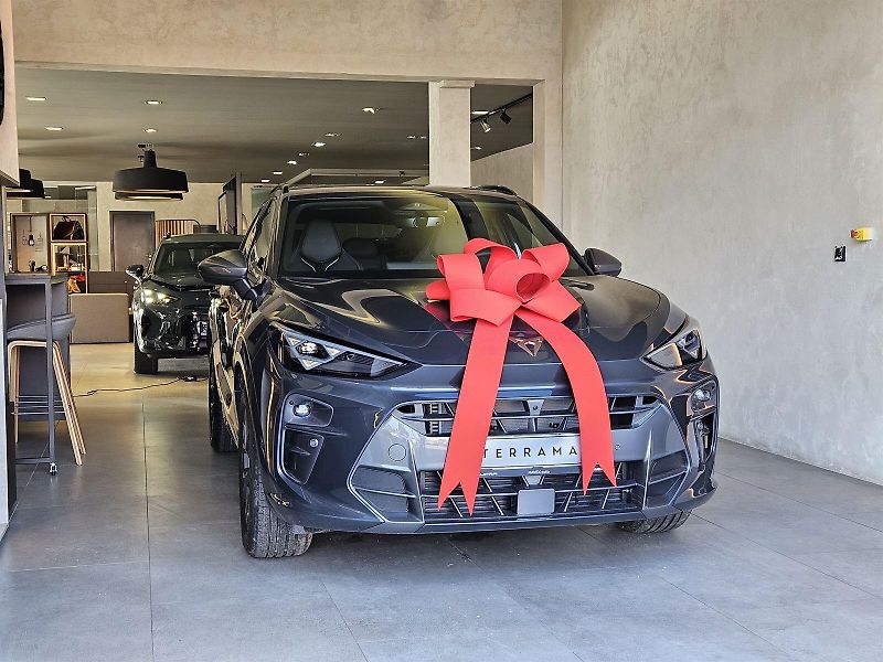 Cupra Terramar (2026) 2.0 TSI 204k DSG 4WD - fotografie inzerátu
