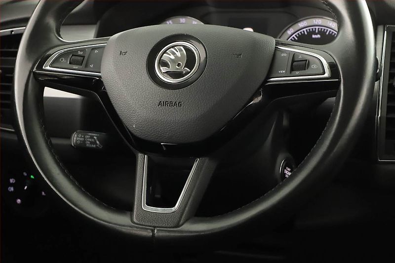 Škoda Kodiaq (2019) 2.0 TDI - fotka 20 z 22