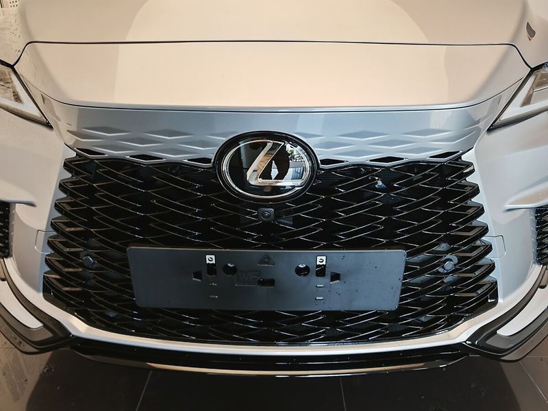 Lexus RX 500h 500h F Sport Special Edition - fotka 4 z 43