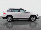 Škoda Kodiaq (2021) Ambition 2.0 TDI - náhled 6
