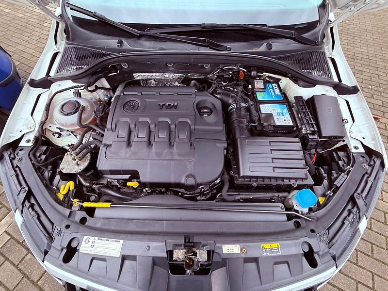 Škoda Octavia 2.0 TDi DSG 4x4 Scout, ČR - fotka 29 z 30