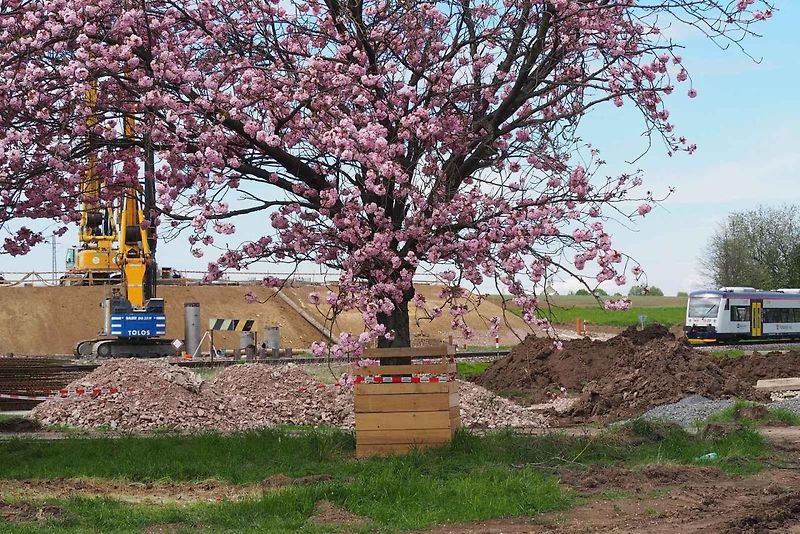 Snímky z výstavby dálnice D35 Džbánov - Litomyšl, duben 2025