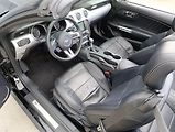 Ford Mustang 2.3 ECOBOOST CONVERTIBLE  - náhled 16