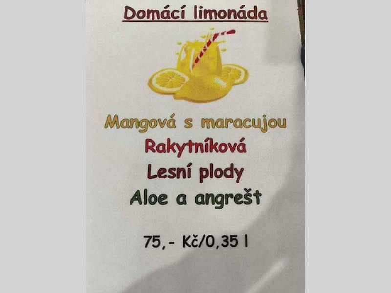 My jsme si objednali Guláš po senicku za 235 korun.