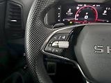 Škoda Karoq (2025) 2.0TDi 110kW 4x4 SPORTLINE WEB - náhled 9