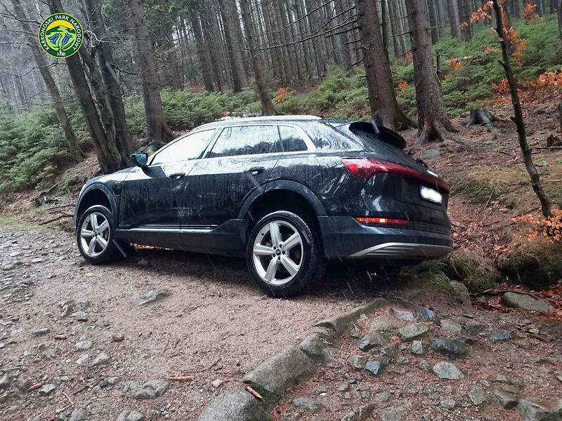 Cizinec chtěl autem do Česka přes národní park, jízda mu skončila uprostřed lesa