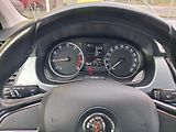 Škoda Fabia (2016) 1,2 TSi 81kw LED 1.MAJ. NAVI - náhled 26