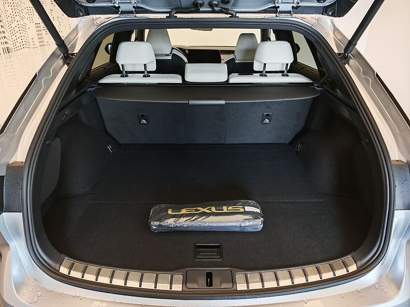 Lexus RX 500h 500h F Sport Special Edition - fotka 12 z 43