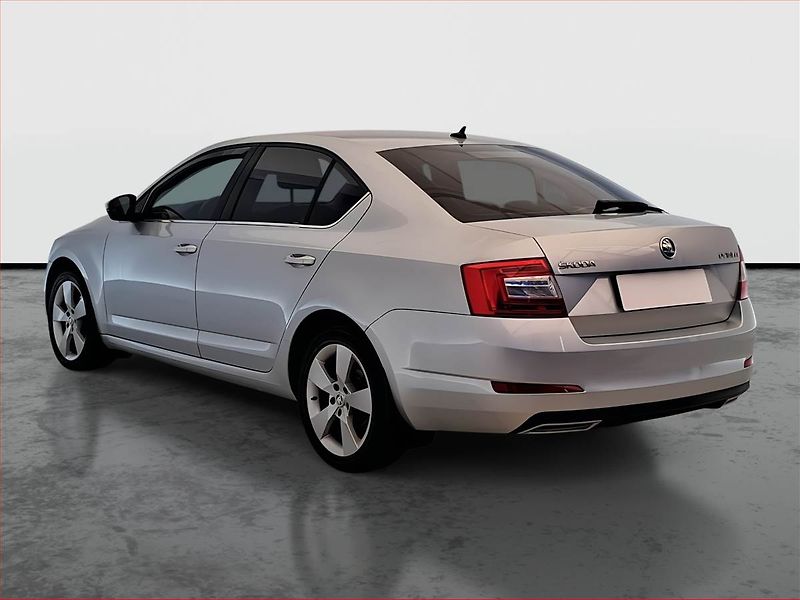Škoda Octavia (2013) Ambition 1.6 TDI, Tempomat - fotka 4 z 18