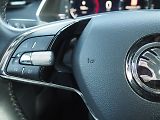 Škoda Octavia (2021) 2.0 TDI, Ambition, Navi - náhled 22
